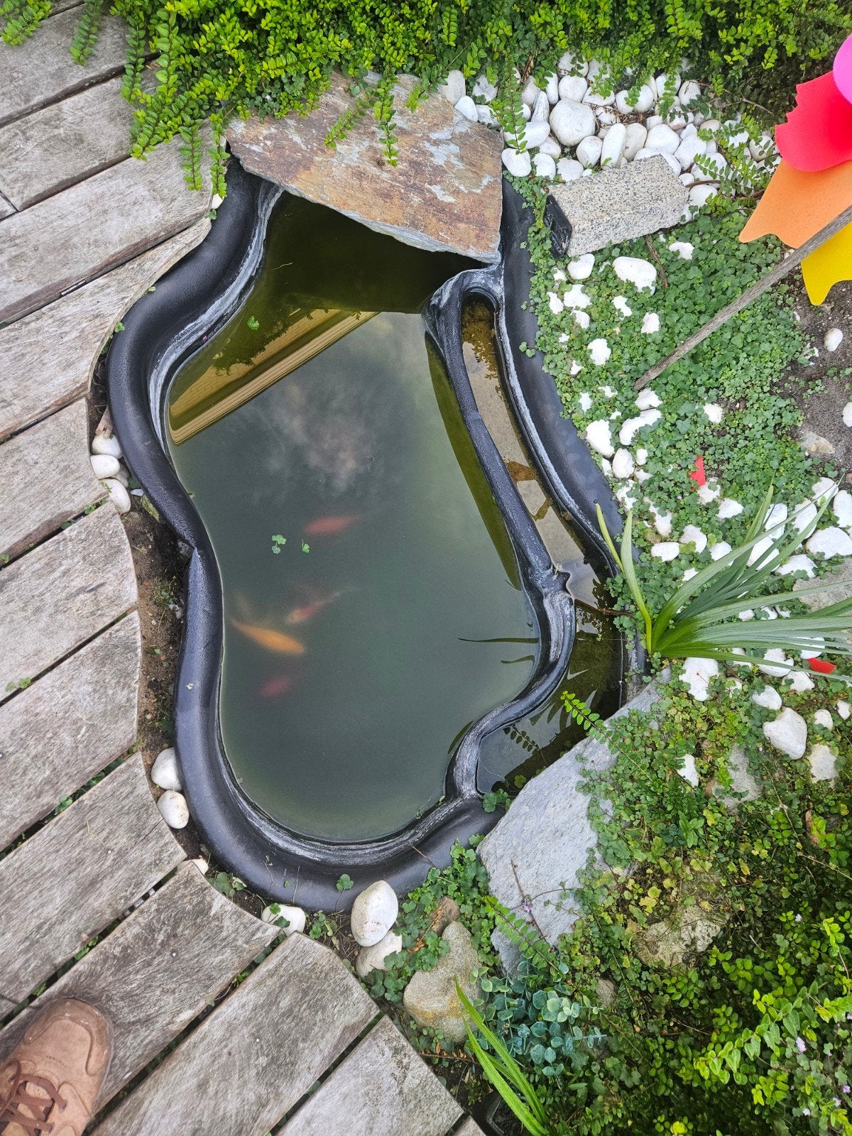 vijver met 6 vissen, Tuin en Terras, Ophalen