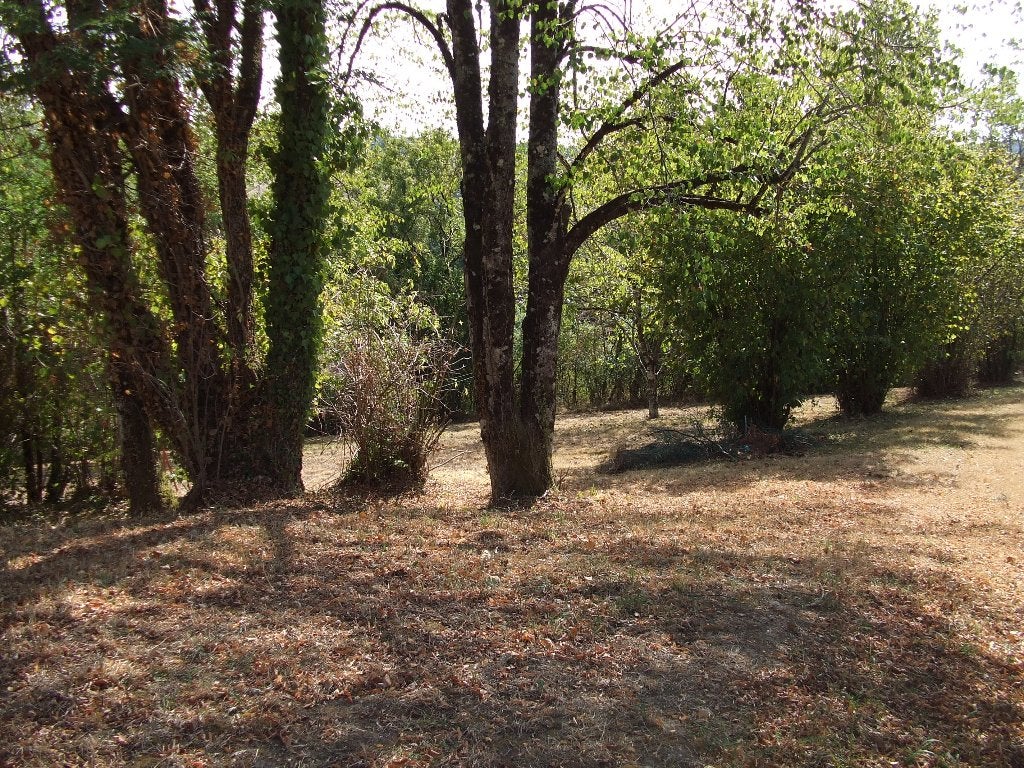 PRIVÉ-EIGENDOM ZUID-FRANKRIJK 81330 TARN., Immo, France, Dorp, Frankrijk, Woonhuis