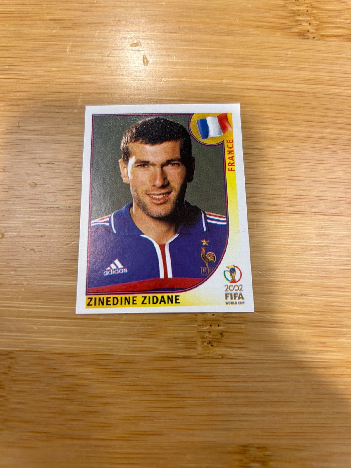 Panini WK 2002 Zidane, Hobby en Vrije tijd, Ophalen of Verzenden, Zo goed als nieuw, Sticker