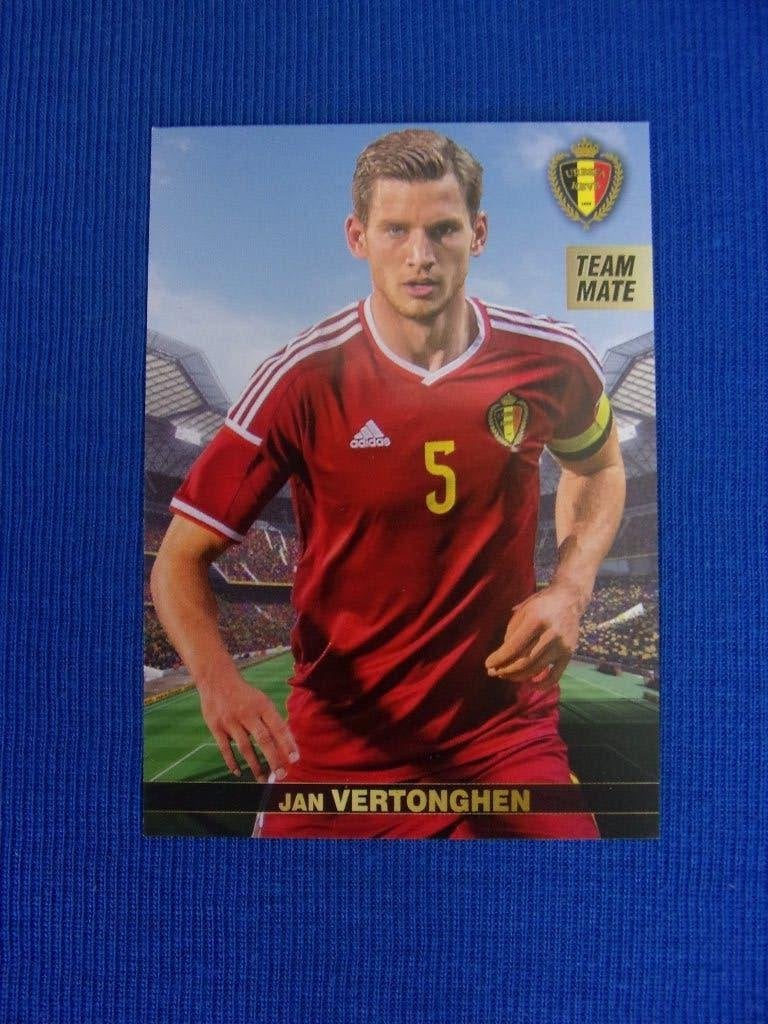 Panini Tousensemble - Jan Vertonghen, Ophalen of Verzenden, Nieuw, Sport