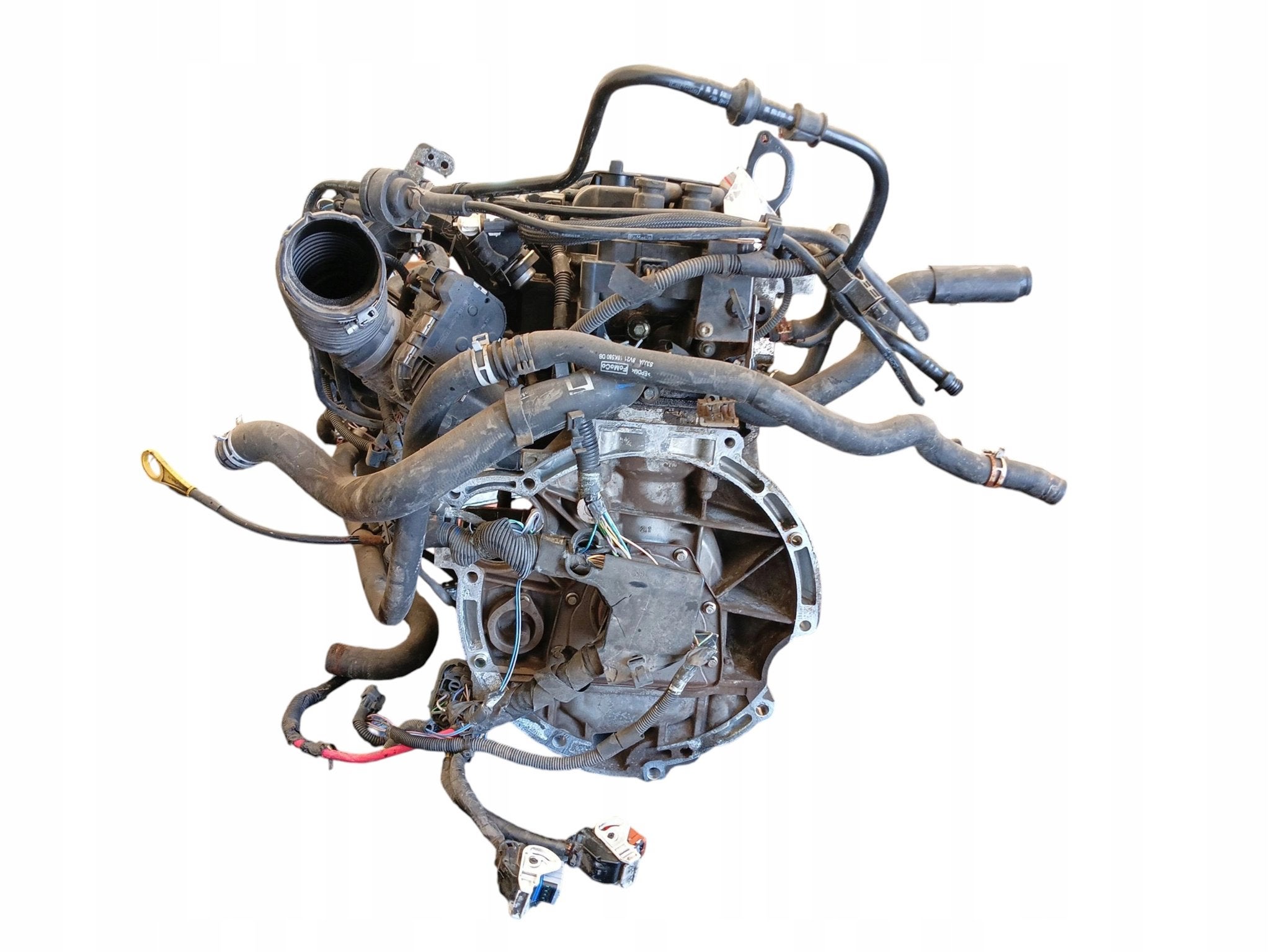 Moteur STJB Complet FIESTA FORD, Envoi, Utilisé, Skoda