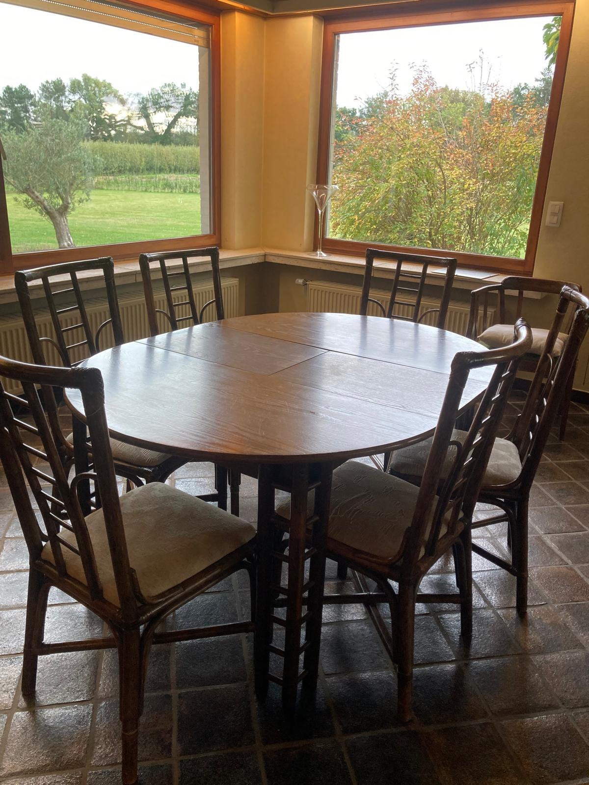 rotan ovale tafel met 6 stoelen, Ophalen, Gebruikt, 4 tot 6 stoelen