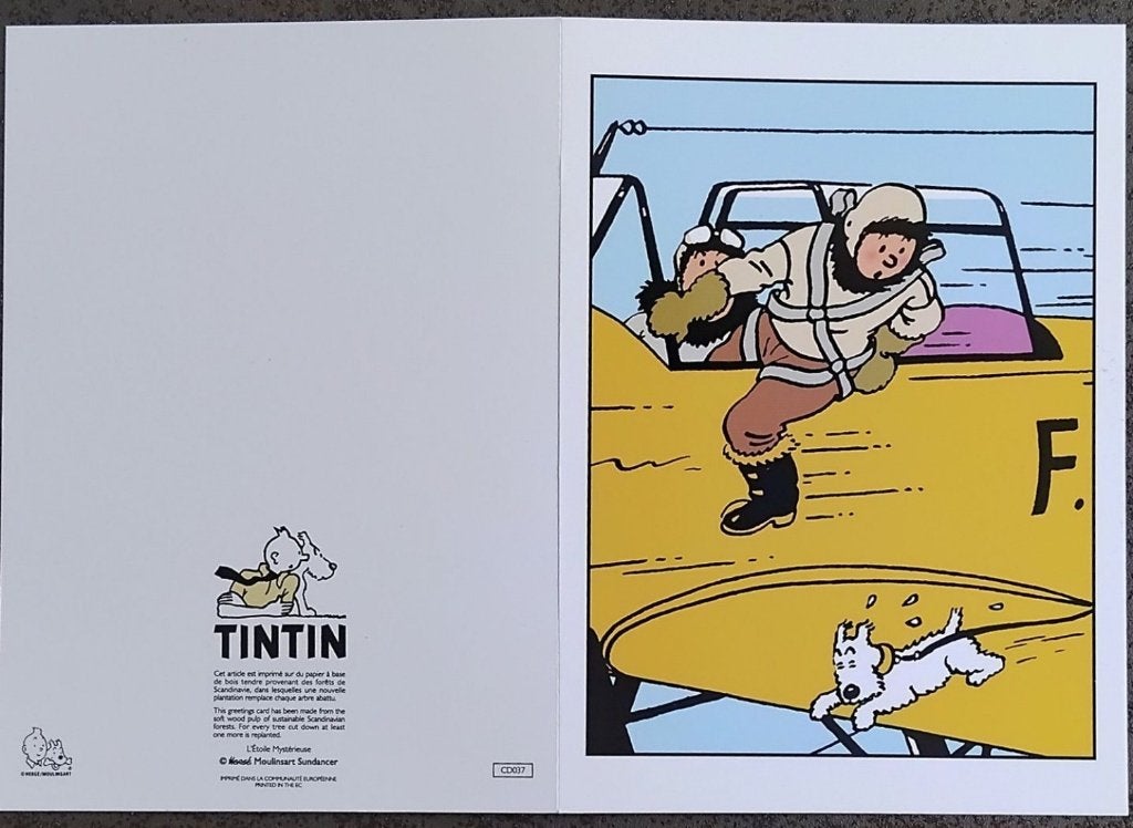Carte double Tintin, Enlèvement