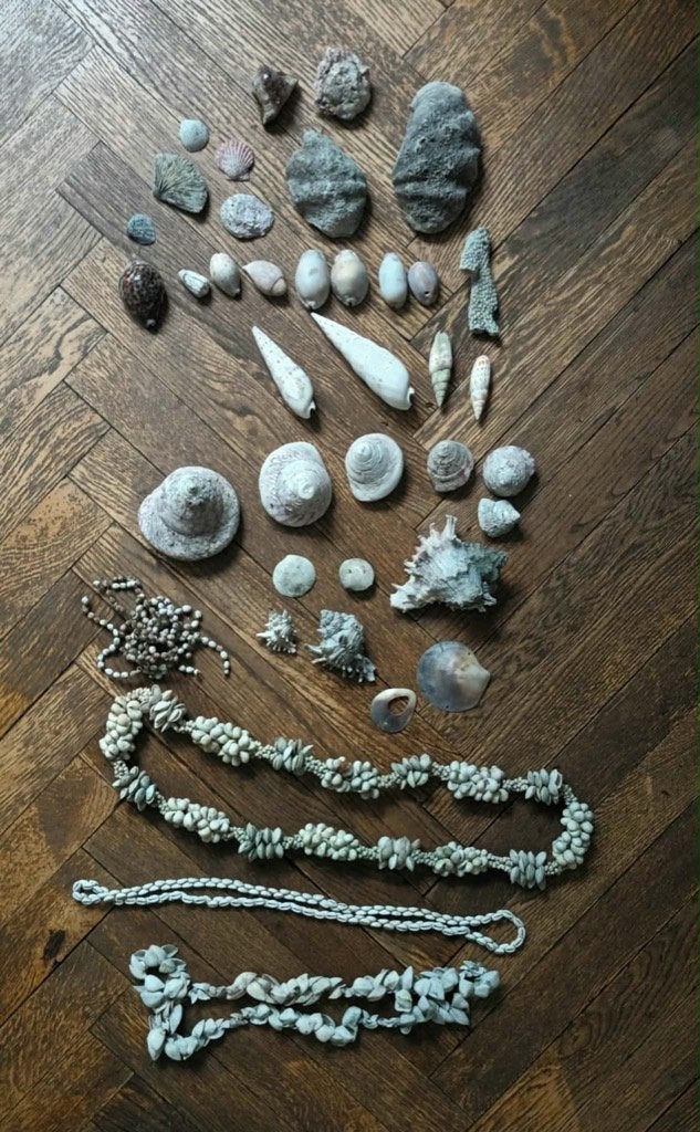 Coquillages anciens polynésiens., Enlèvement ou Envoi, Coquillage(s)