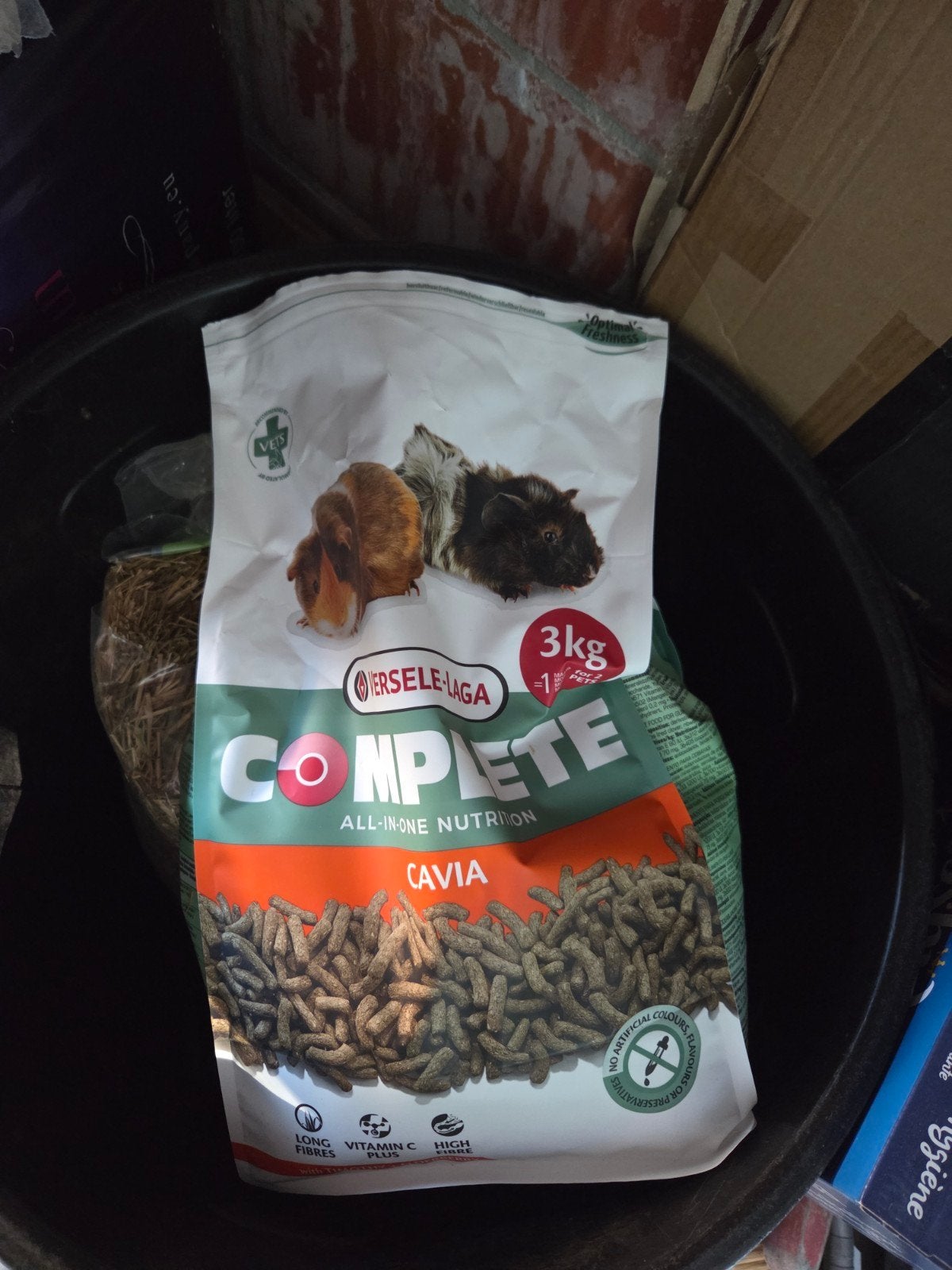 Cavia eten korrels, Enlèvement