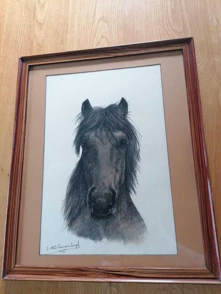 Paardenkop getekend met houtskool, Ophalen