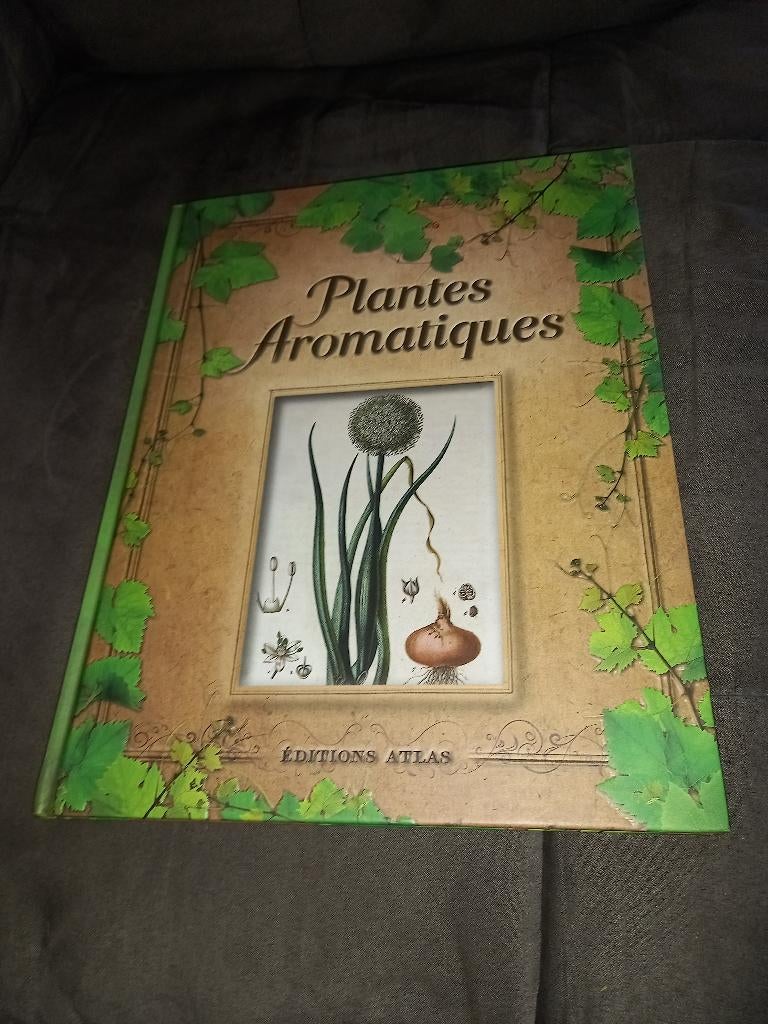 Livre les plantes aromatiques, Enlèvement ou Envoi