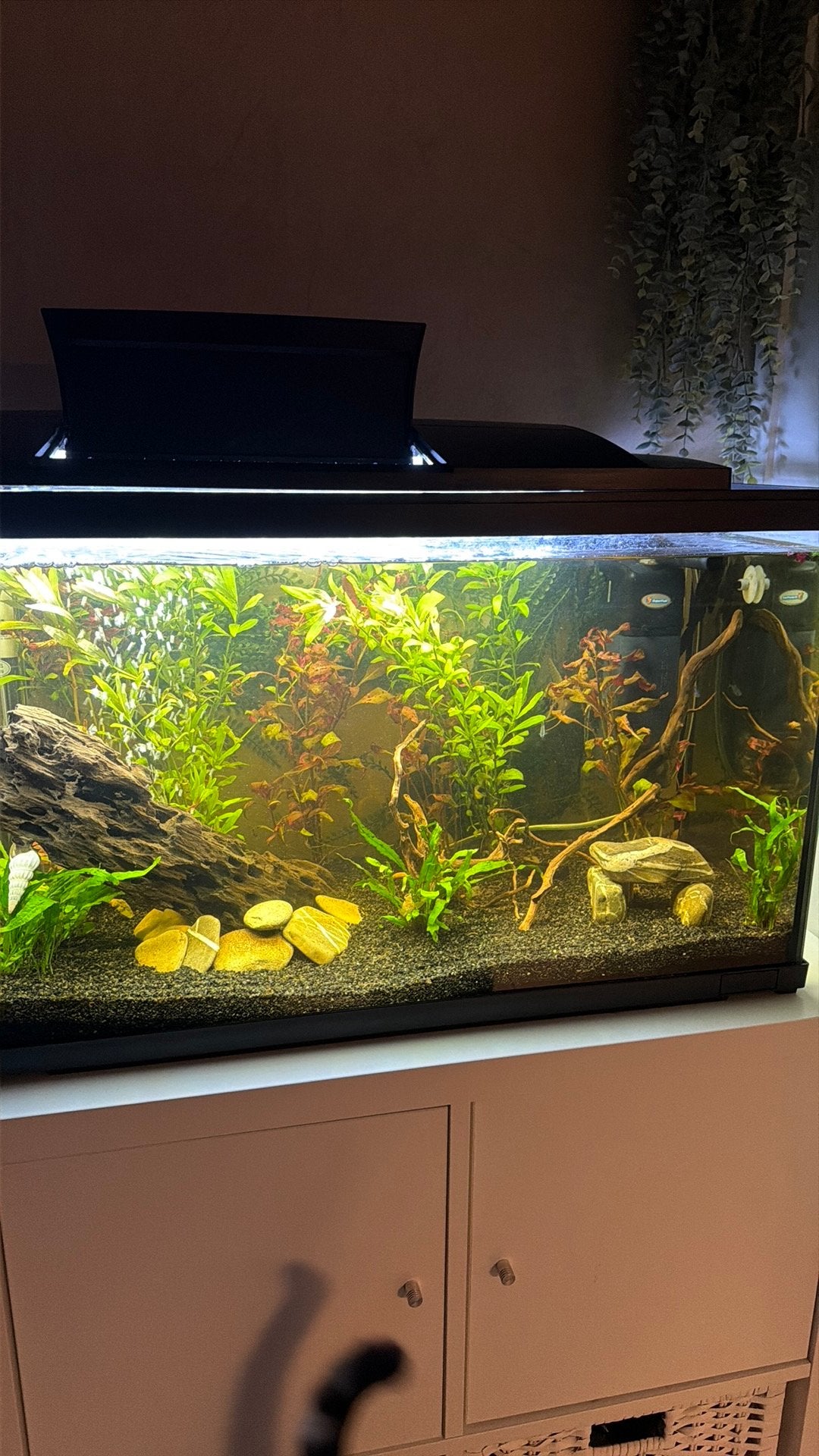 Aquarium 100 liter, Dieren en Toebehoren, Vissen | Aquaria en Toebehoren, Ophalen, Verwarming, Zo goed als nieuw