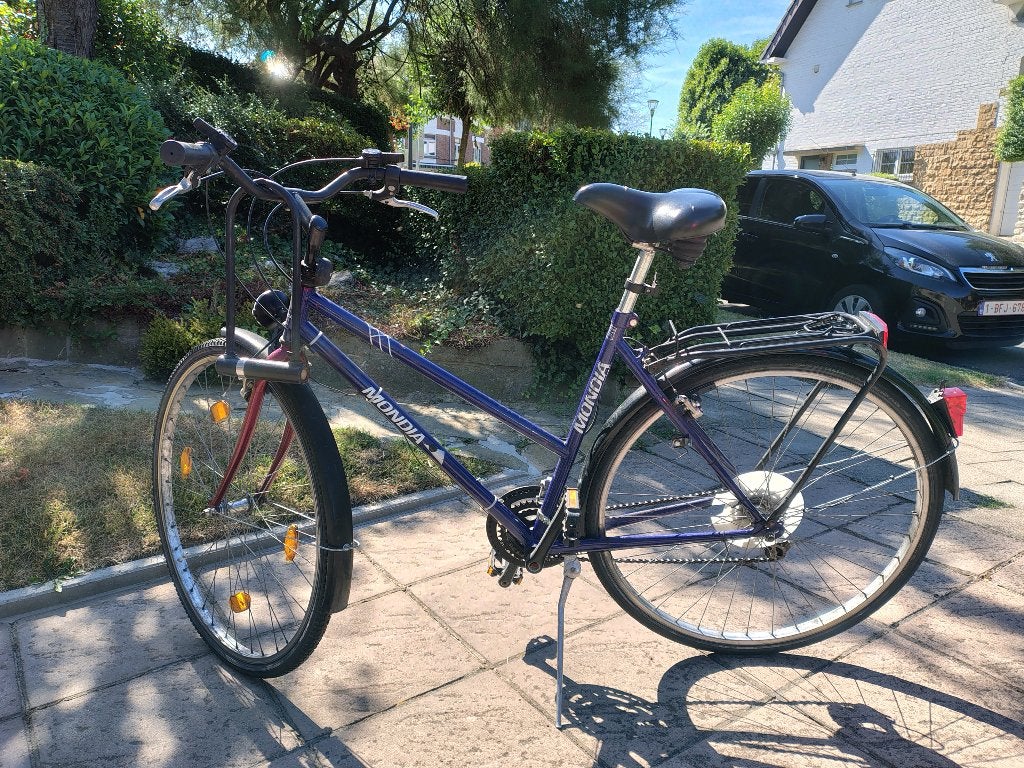 Vélo de ville adulte, Vélos & Vélomoteurs, Autres marques, Femmes, Enlèvement, VTT semi-rigide
