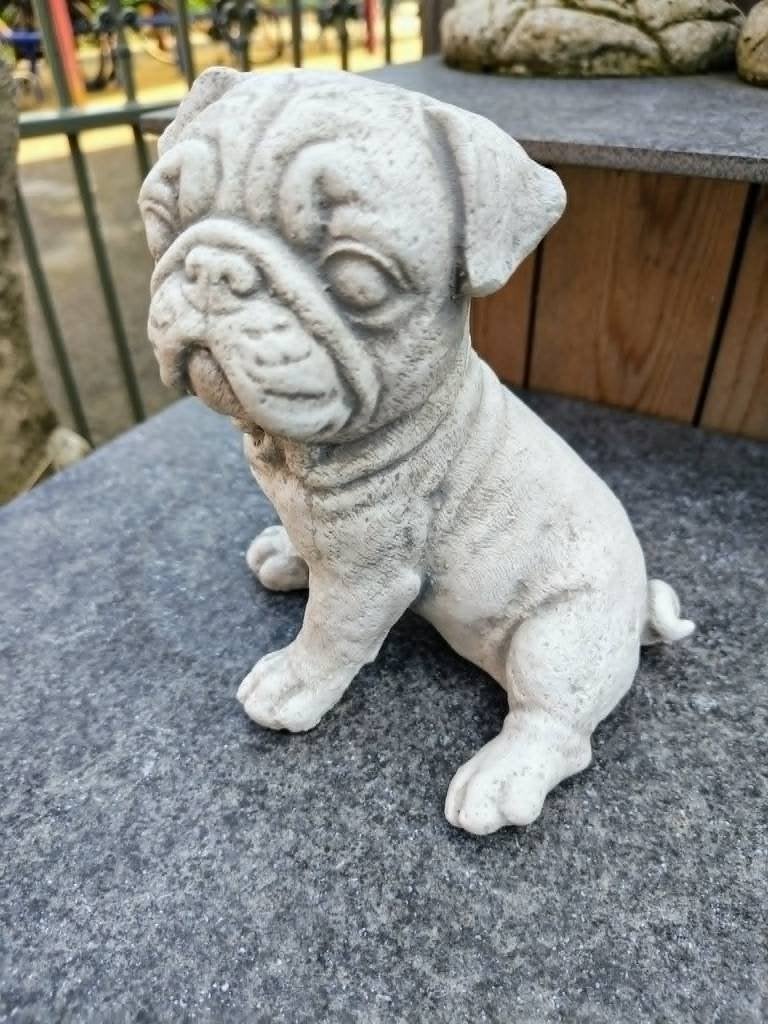 Betonnen tuinbeeld - mopshond, Ophalen of Verzenden, Nieuw, Beton, Dierenbeeld