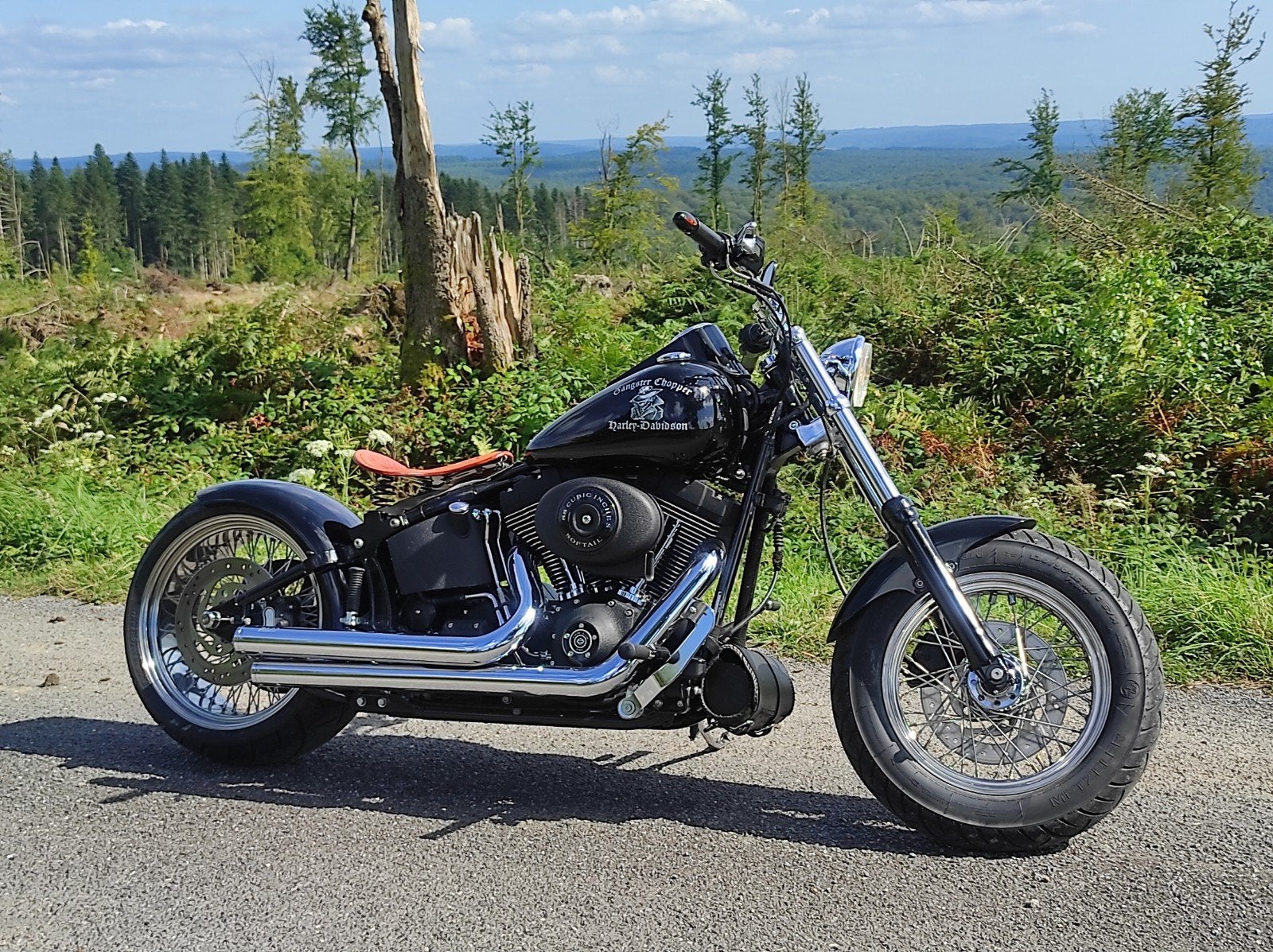 Harley Davidson Softail 1450 Nightrain, Particulier