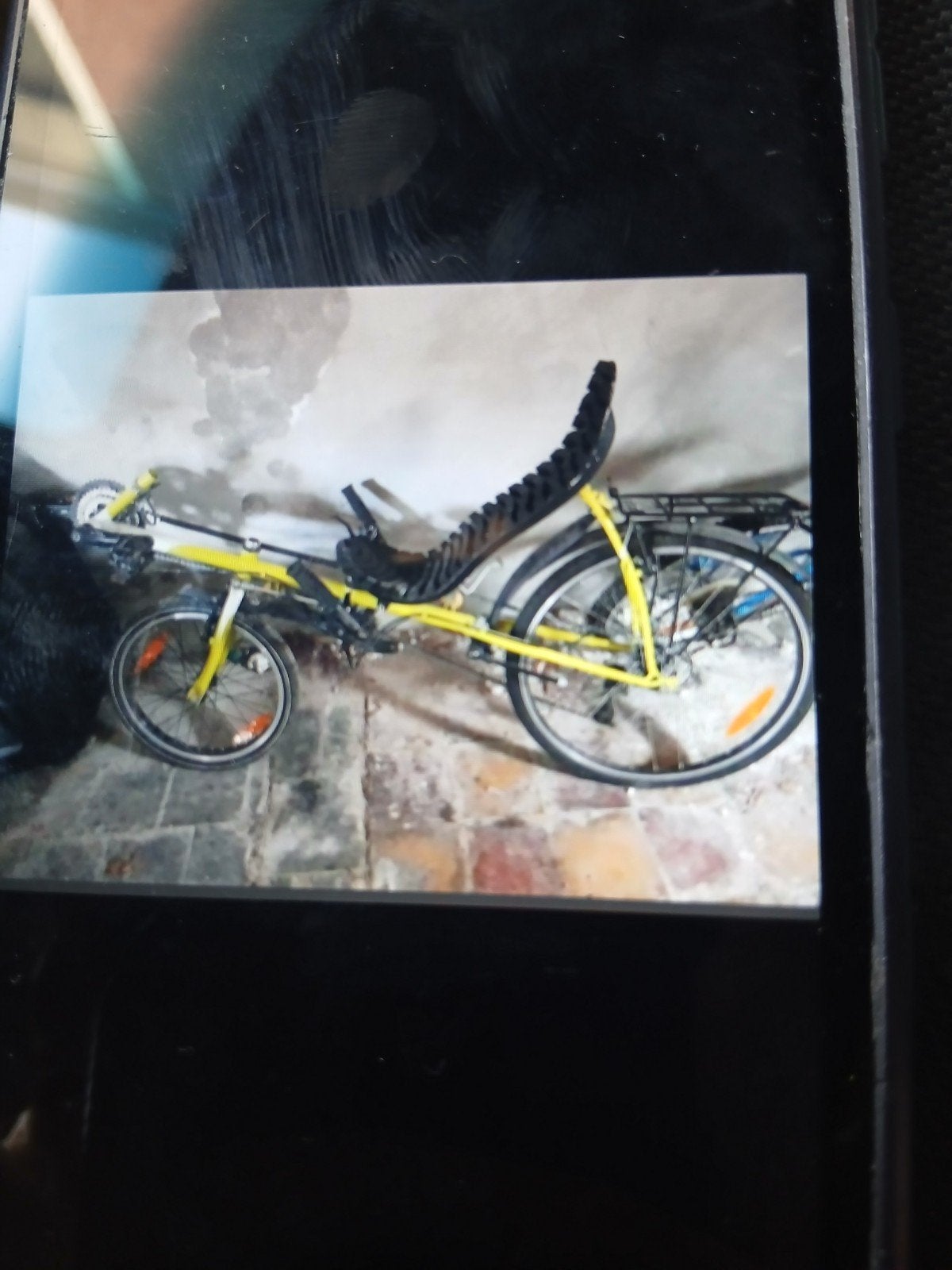 Velo, Vélos & Vélomoteurs, Enlèvement