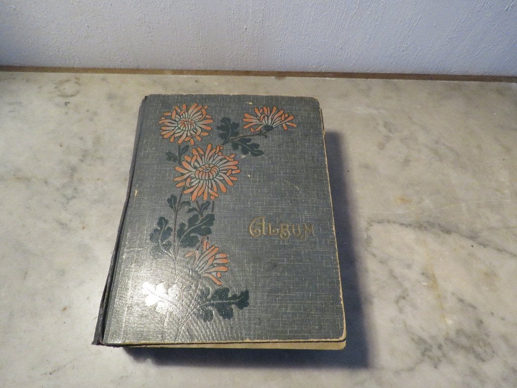 Vintage album vol met 191 postkaarten ansichtkaarten, Ophalen of Verzenden