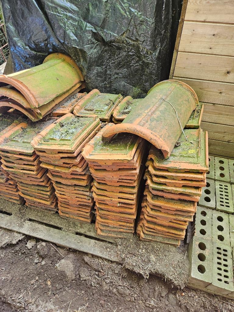 Sterreberg dakpannen (+-225), Ophalen, Gebruikt, Rood, Dakpannen