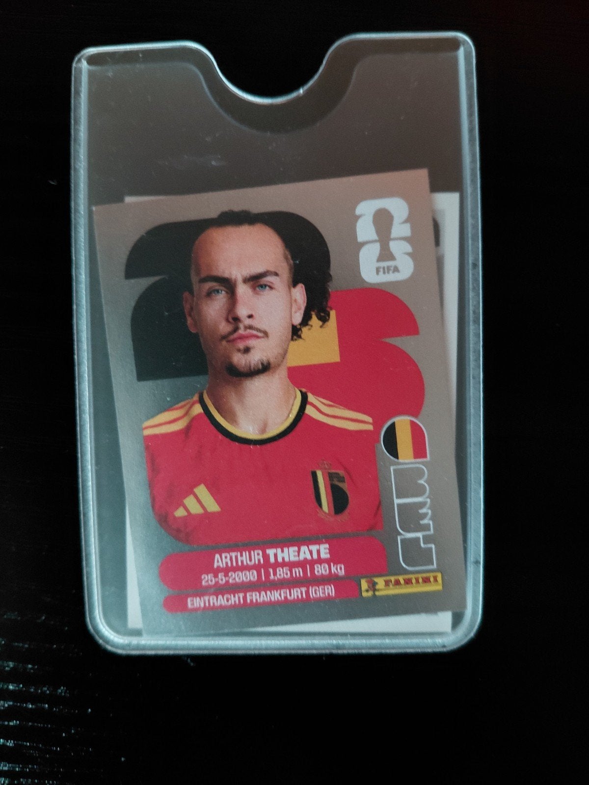 Panini, Enlèvement ou Envoi