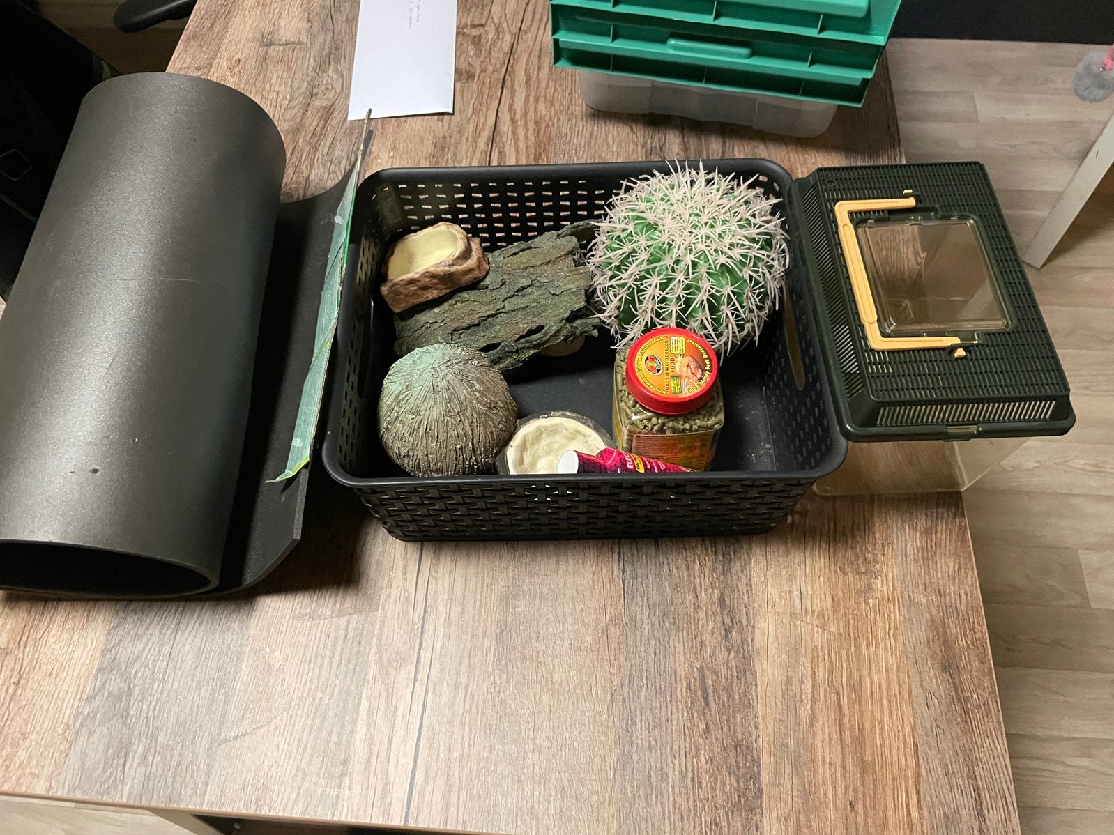 Spullen voor reptielen en terrarium, Ophalen of Verzenden, Zo goed als nieuw