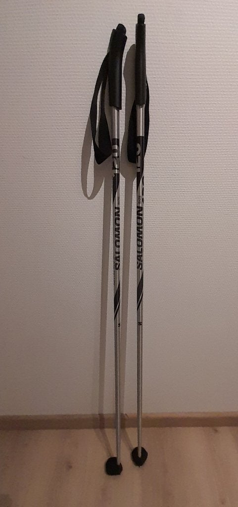 skistokken, Enlèvement, Bâtons, Ski, Salomon