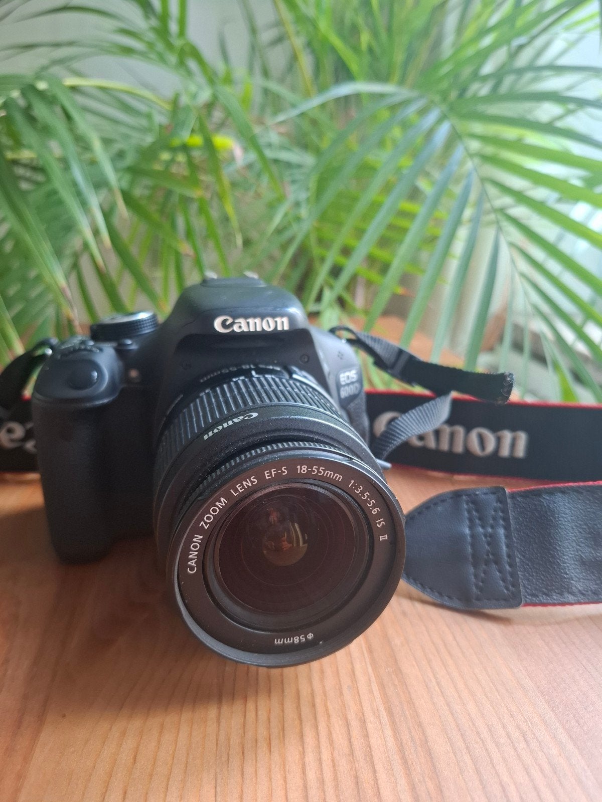Canon EOS 600D + 18-55 IS II + Grip + 4 batteries + SD 64 Go, TV, Hi-fi & Vidéo, Appareils photo numériques, Enlèvement ou Envoi