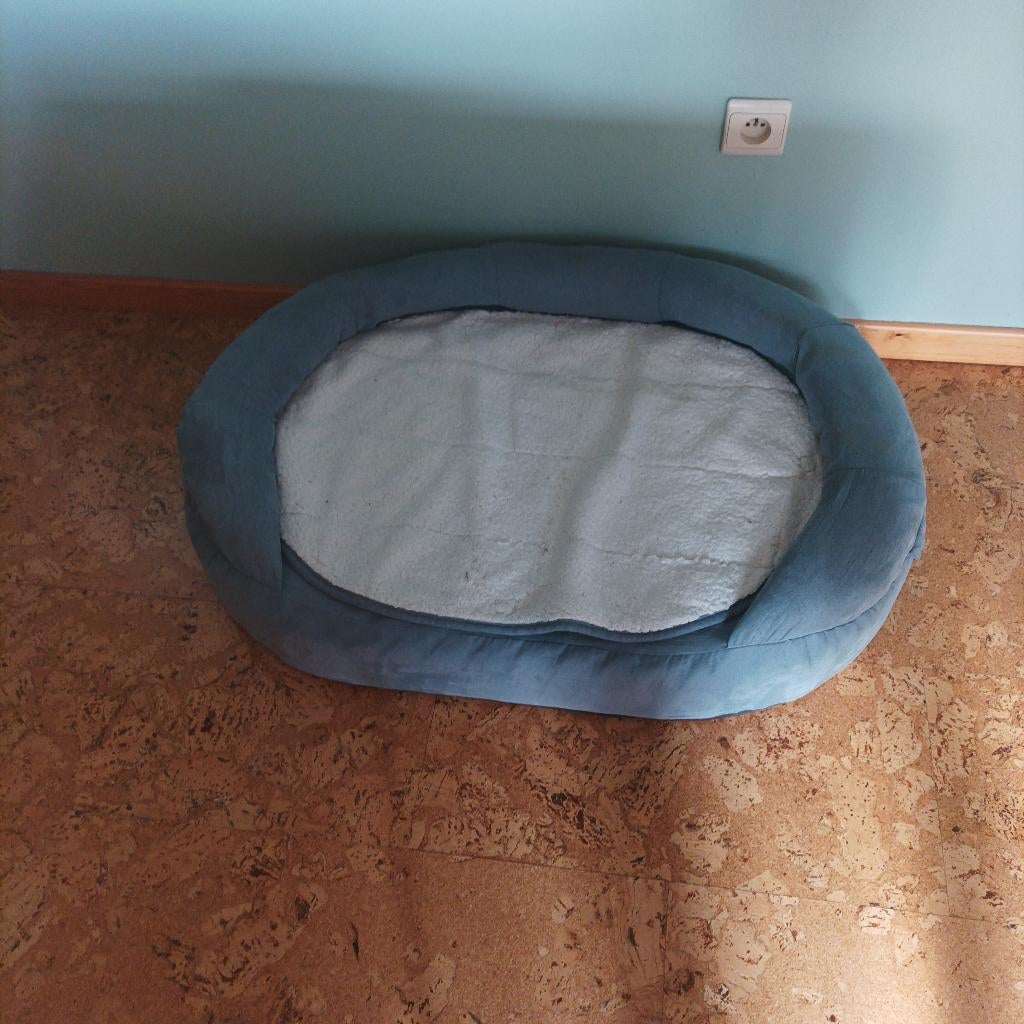 Orthopedisch honden bank, Animaux & Accessoires, Paniers pour chiens, Enlèvement, Comme neuf, Poussière