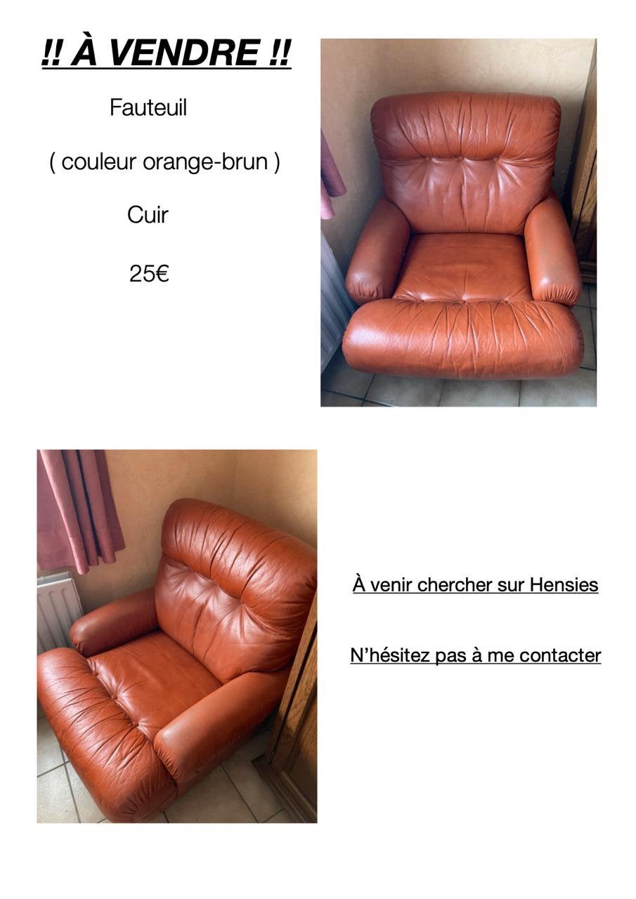 Fauteuil orange-brun, Enlèvement, Utilisé, Une personne, Cuir