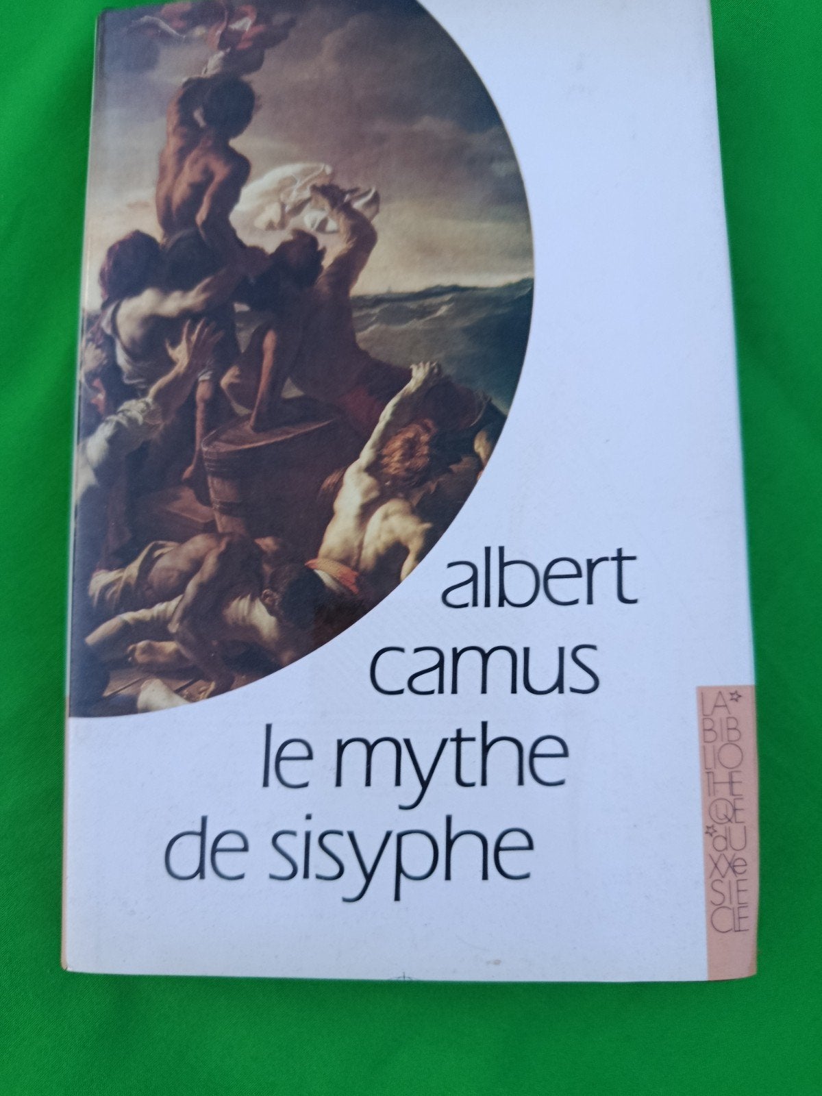 Le mythe de Sysyphe - Albert Camus, Livres, Enlèvement