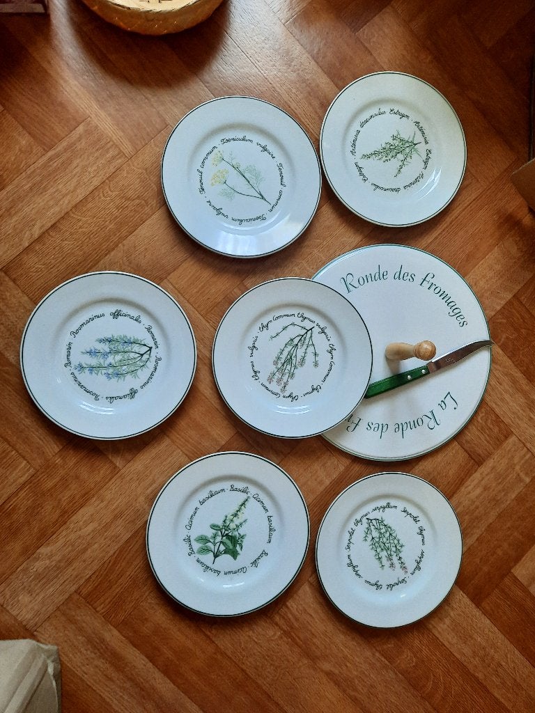 nieuw mooi kaasservies 6 borden, kaasmes en sierschotel, Ophalen of Verzenden, Nieuw, Bord(en)