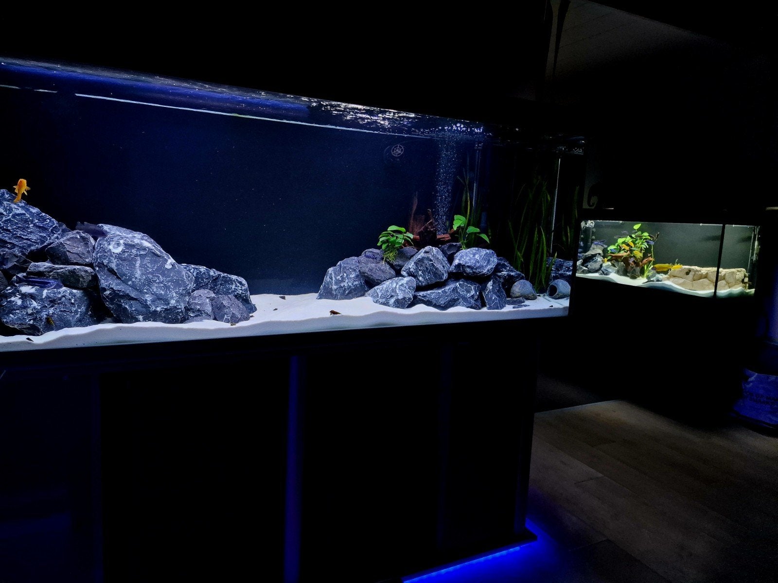 Aquarium 200x60x70, Dieren en Toebehoren, Ophalen, Aquatlantis, Inclusief toebehoren, Zo goed als nieuw