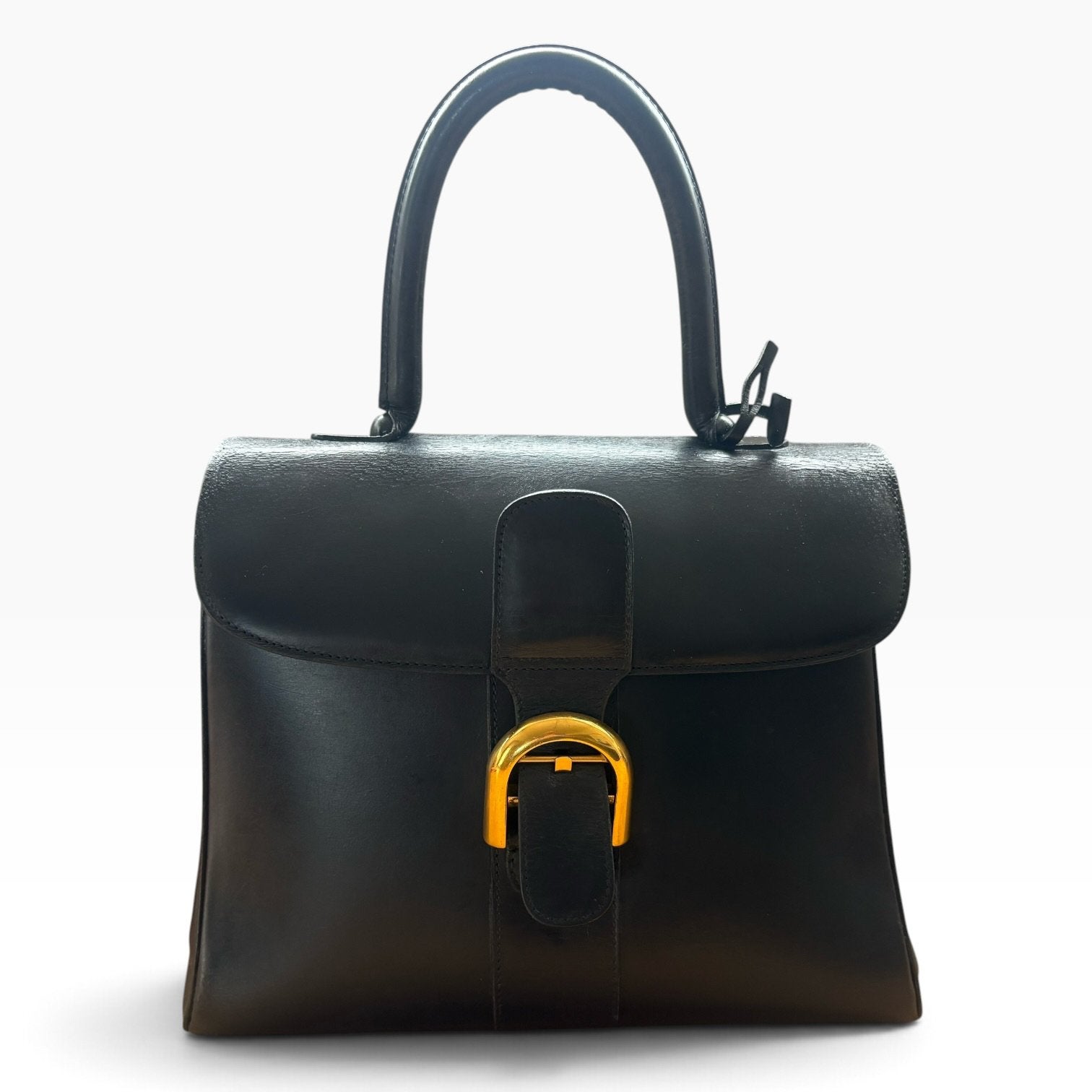 Delvaux Brillant vintage, Handtassen en Accessoires, Ophalen of Verzenden, Gebruikt, Blauw, Handtas