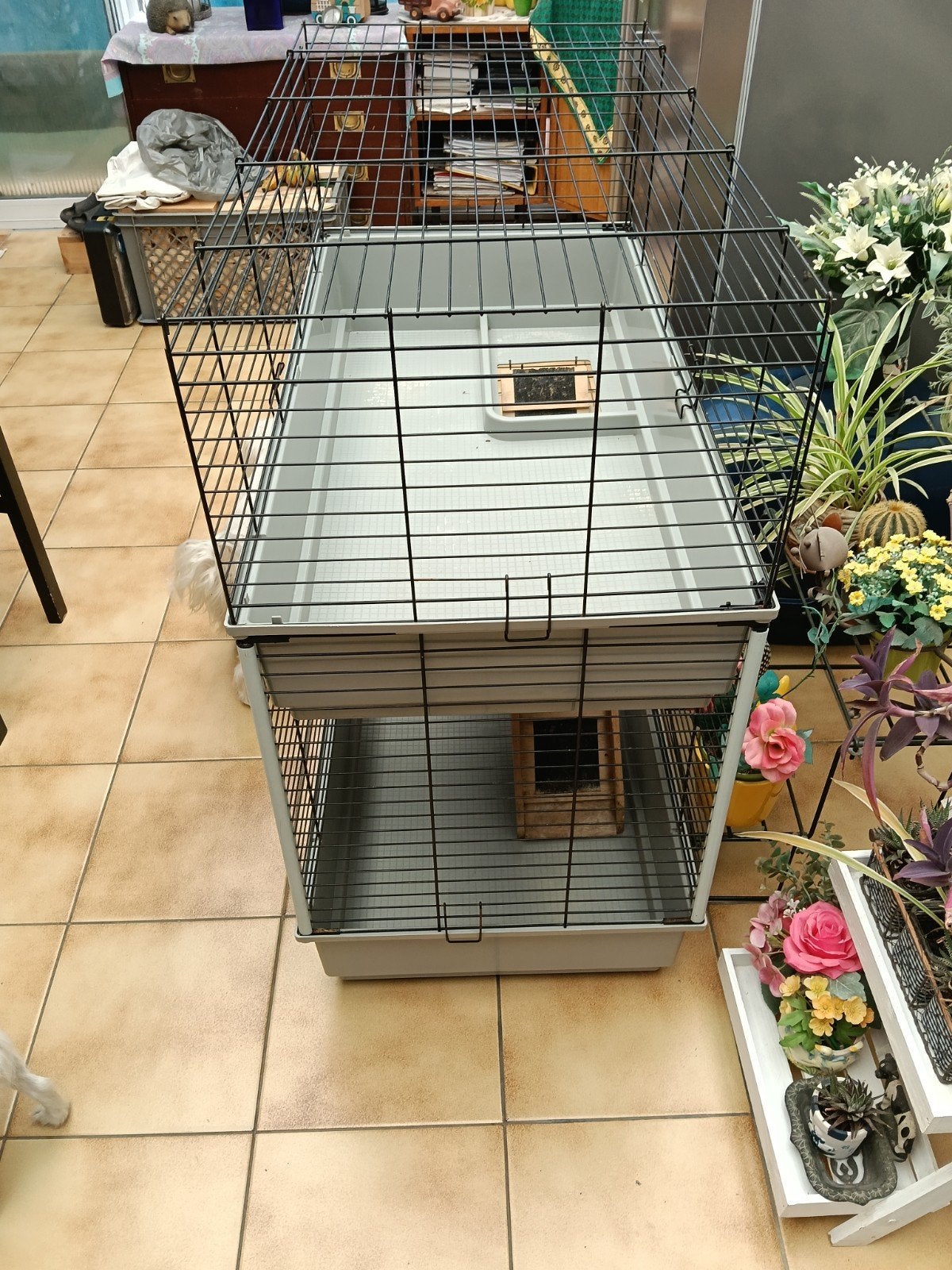 cage pour animaux, Enlèvement ou Envoi