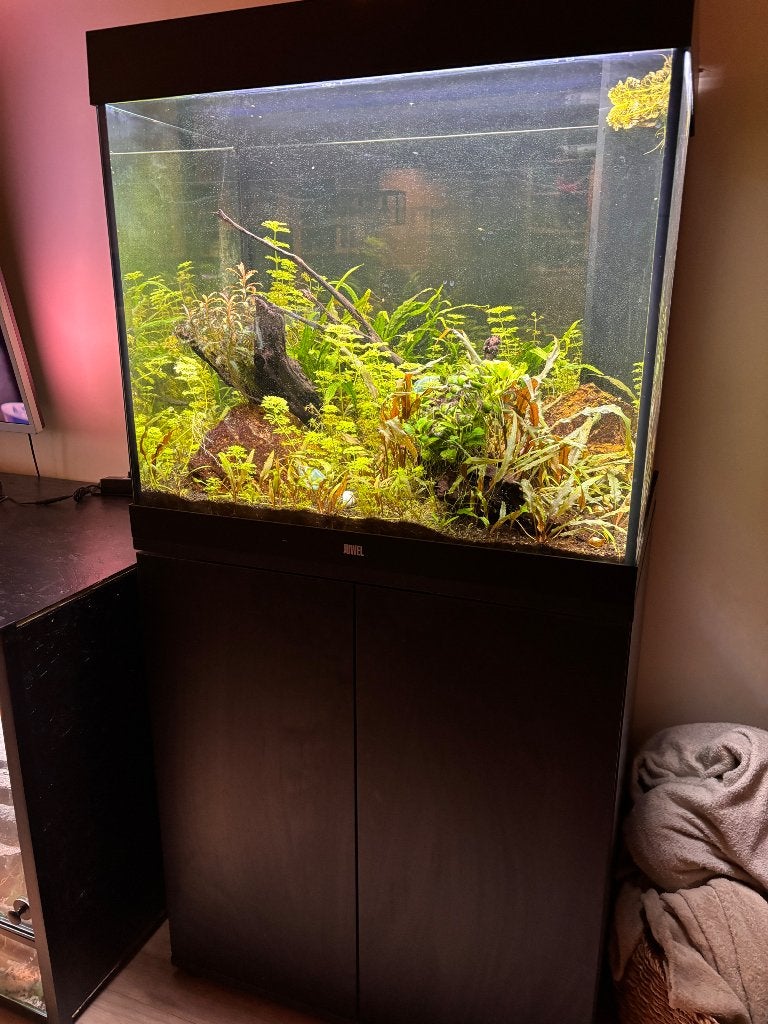 Juwel Aquarium 200L + kast en toebehoren, Ophalen, Pomp, Juwel, Gevuld zoetwateraquarium