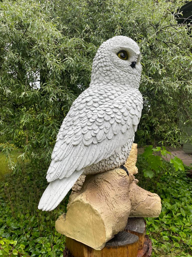 Beeld witte sneeuwuil, tuin, gazon, dierentuin 80cm, Ophalen, Nieuw, Kunststof, Dierenbeeld