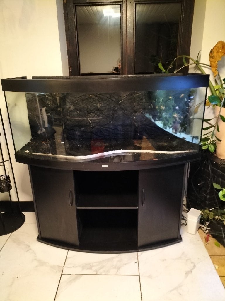 Aquarium 450 liter te koop met alles erbij, Dieren en Toebehoren, Vissen | Aquaria en Toebehoren, Gebruikt, Gevuld zoetwateraquarium