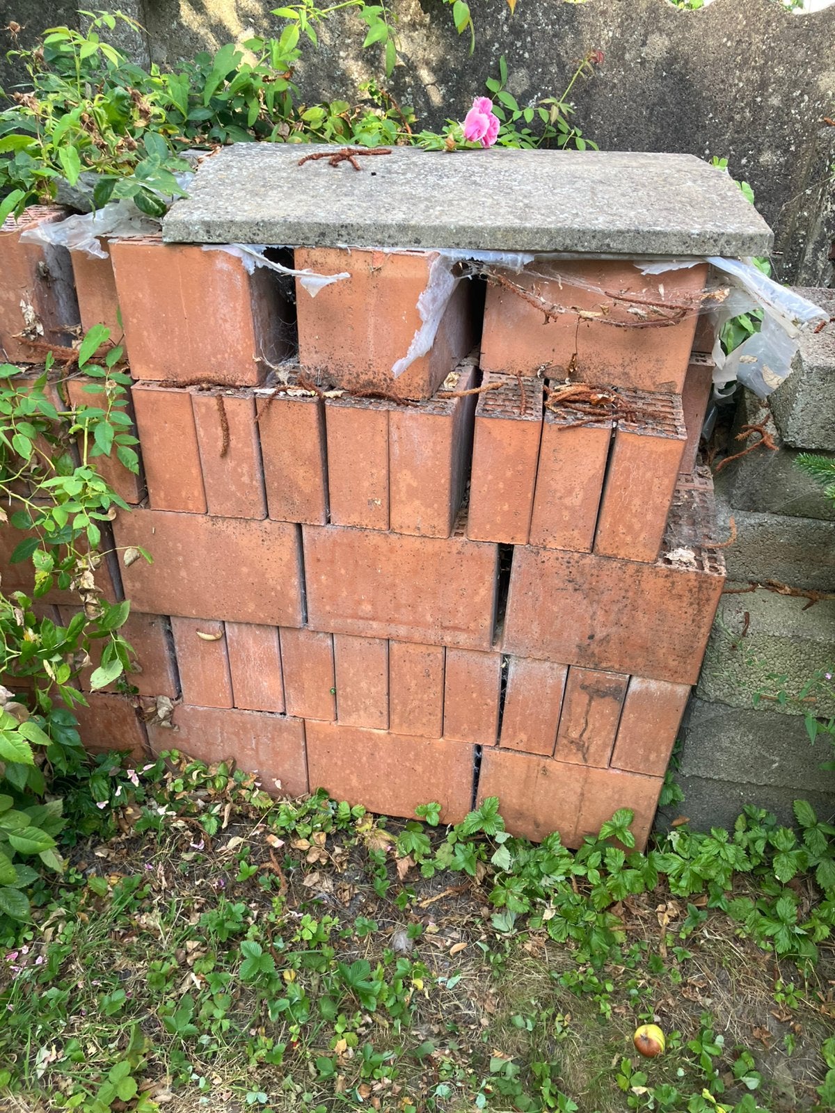 Pallet snelbouwstenen 29x19x9, Bricolage & Construction, Briques, Enlèvement, Comme neuf