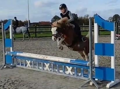 Mooie 6 jarige A pony, Dieren en Toebehoren, Merrie, B, A pony (tot 1.17m), Met stamboom