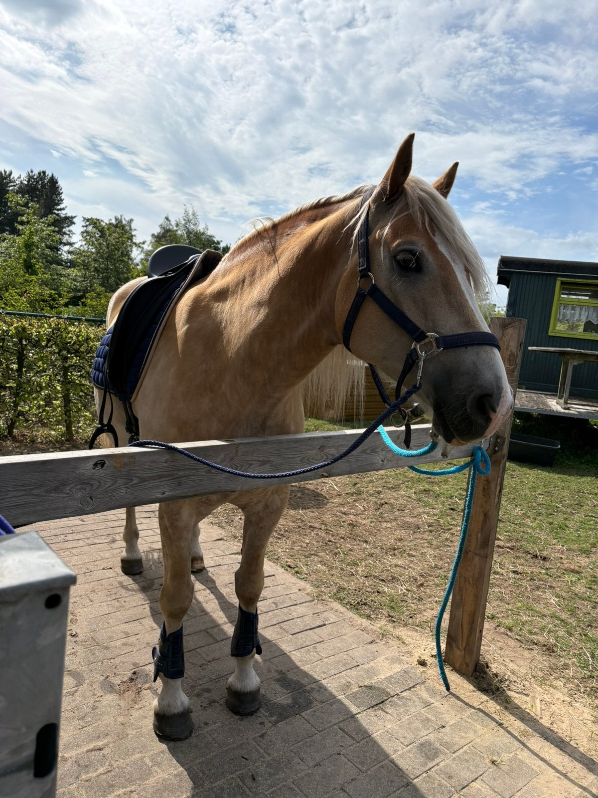 Super lieve en knappe ruin, Ruin
