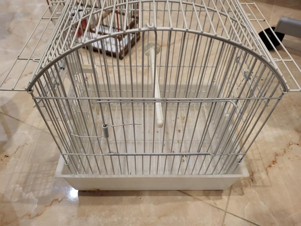 3 cages de dressage, Enlèvement