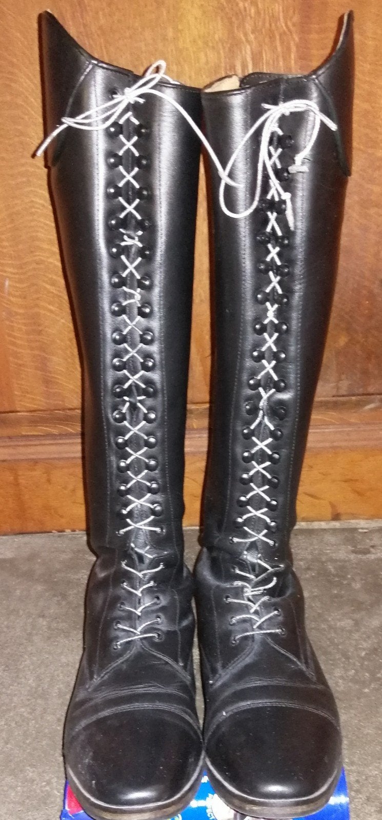 Bottes équitation pointure 40, Neuf, Femmes, Autres tailles, Noir