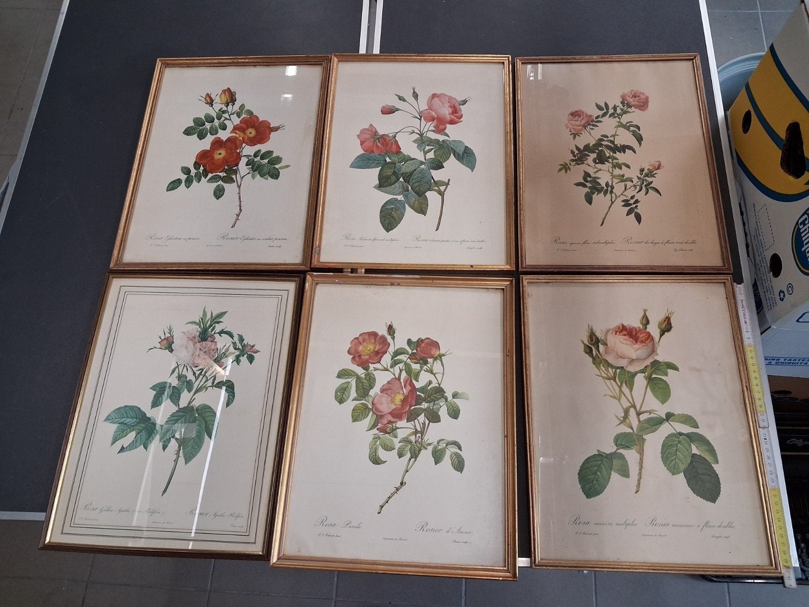12 rozen litho's imprimerie de  rémond , door Rédoute, Ophalen of Verzenden