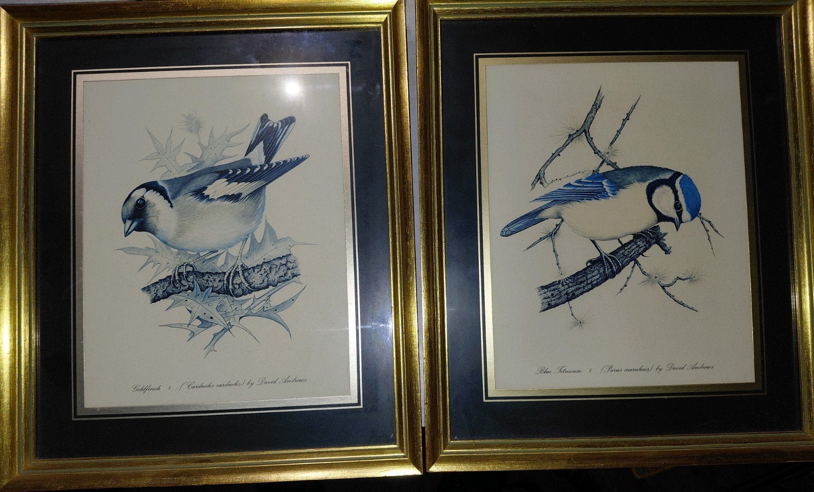 Avec des dessins de David Andrews représentant une mésange h, Maison & Meubles, 32 cm, Enlèvement ou Envoi, Avec bordure décorative