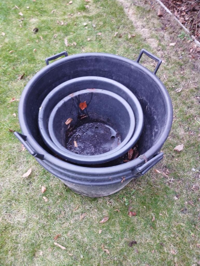 5 planten of boomkuipen, Ophalen, Zo goed als nieuw, Rond, Kunststof
