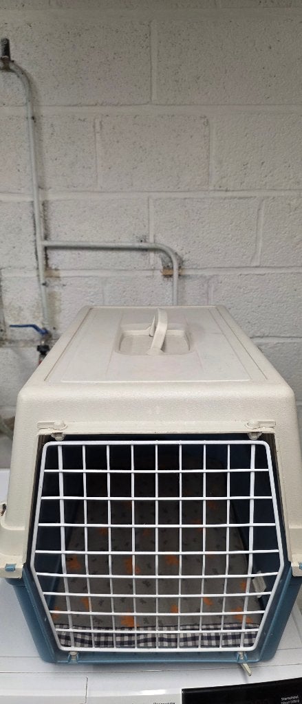 cage animaux, Dieren en Toebehoren, Transportboxen, Ophalen, Gebruikt