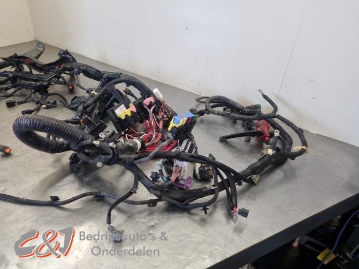 Faisceau de câbles compartiment moteur d'un Renault Master, Renault, -, 3 mois de garantie, Utilisé