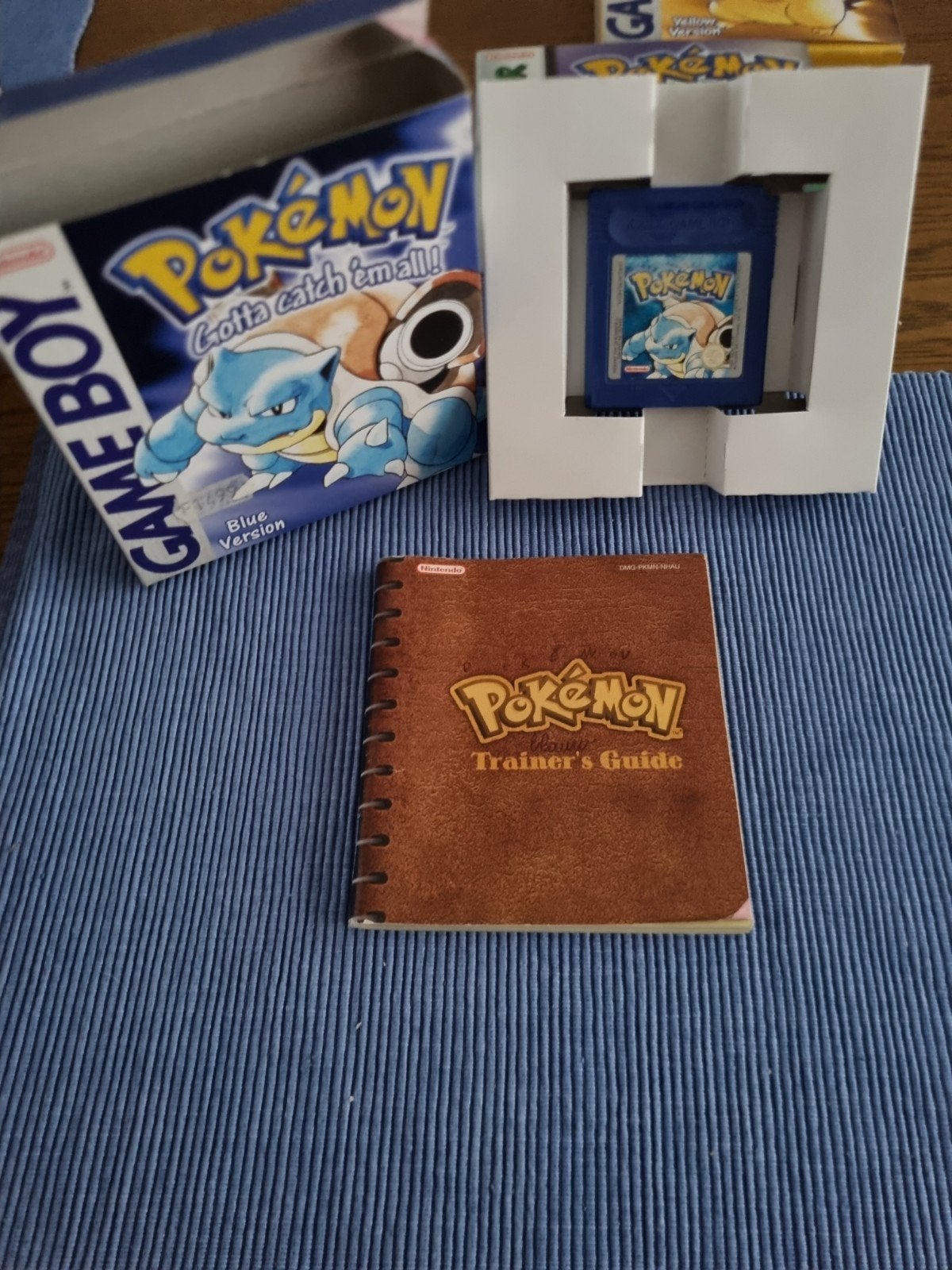 pokemon blue, Enlèvement