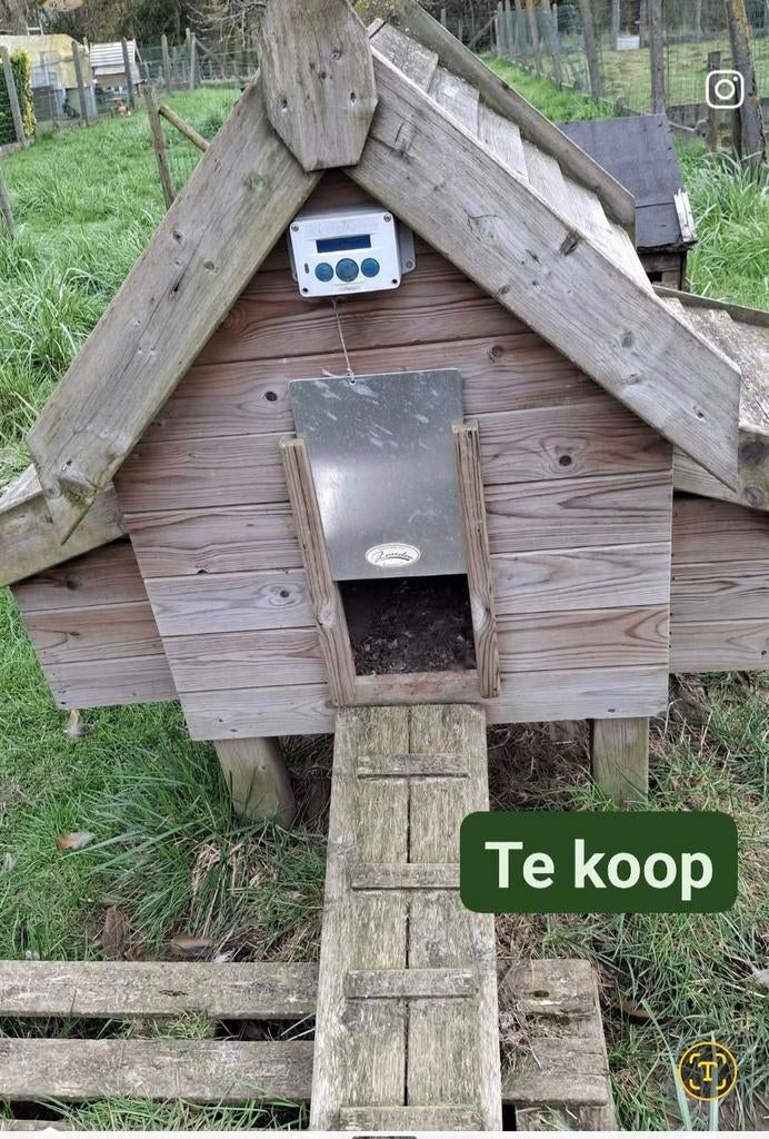 Kippenhok zander  met  luik en  2  legbakken, Animaux & Accessoires, Enlèvement