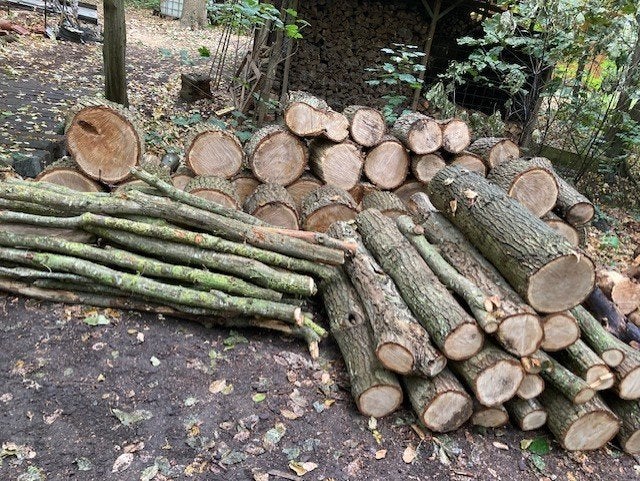 brandhout eik, 3 à 6 m³, Enlèvement, Chêne, Troncs d'arbres