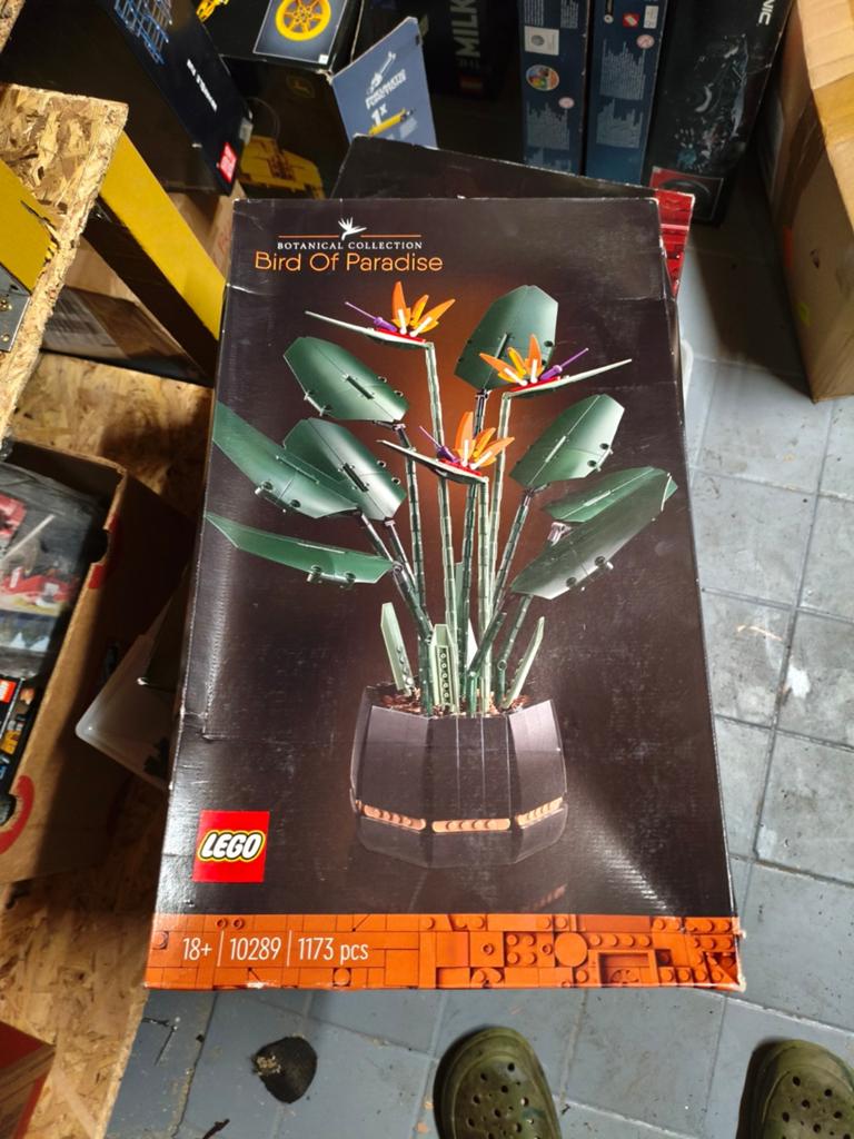 Lego 10252 paradijsvogel bloem, Ophalen, Lego