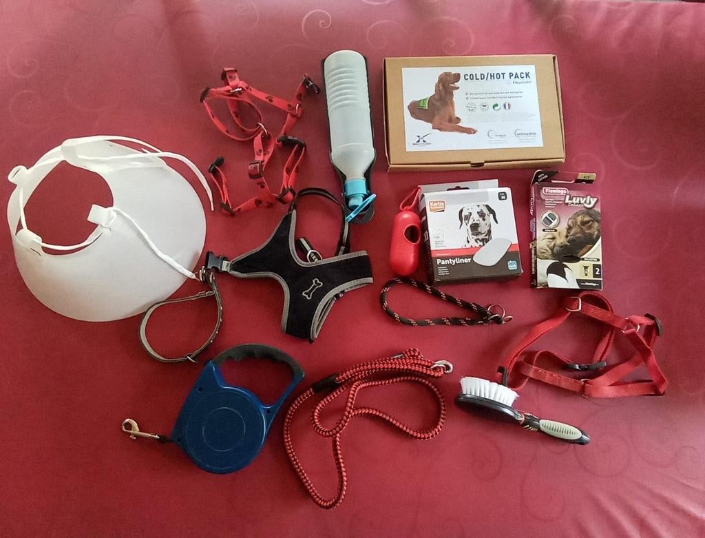 Hondenaccessoires 14 st voor 20 euro, Ophalen of Verzenden, Zo goed als nieuw