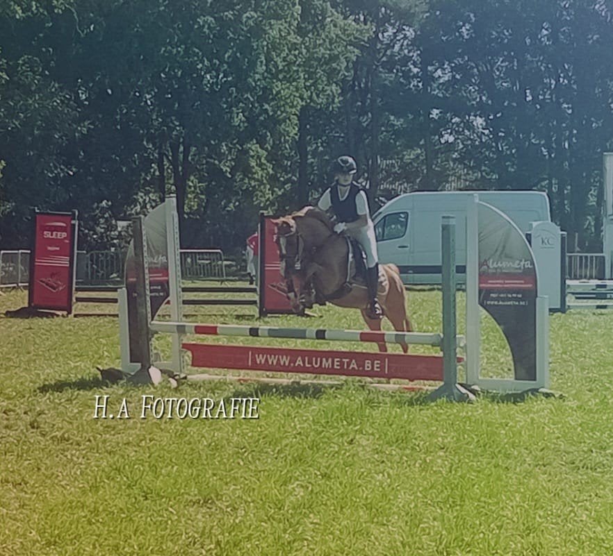 bpony merrie 16 jaar, Dieren en Toebehoren, Merrie, B pony (1.17m tot 1.27m), 11 jaar of ouder, Recreatiepony
