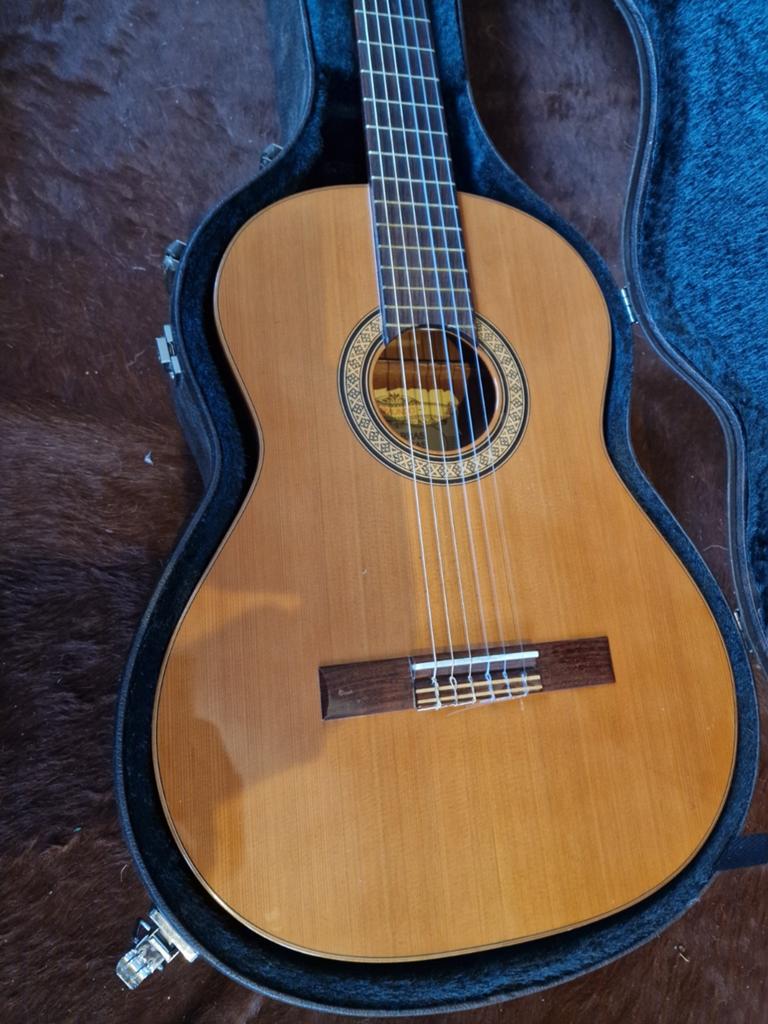 Raimundo 118 met hardcase, Muziek en Instrumenten, Ophalen