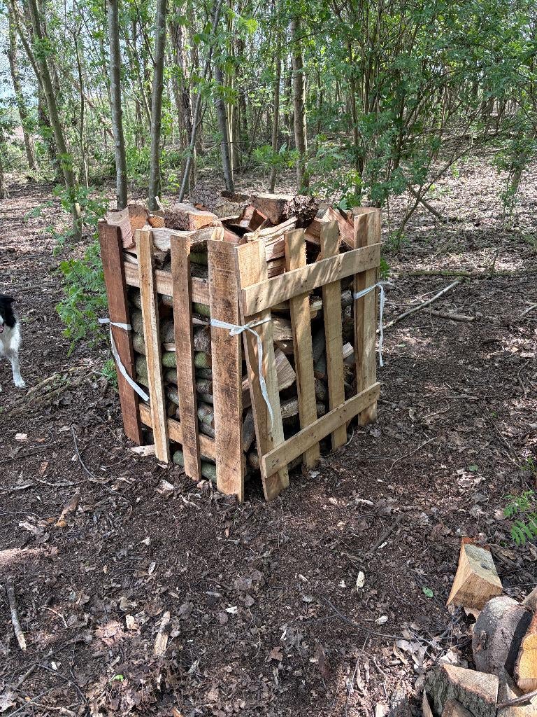 Vers brandhout amerikaanse vogelkers/eik, zelf op te halen, Tuin en Terras, Minder dan 3 m³, Ophalen, Overige houtsoorten, Blokken